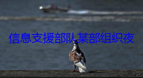 夜间修理训练图队某部组织信息支援部