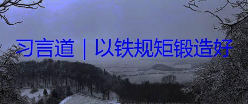 好作风铁规矩锻造习言道以